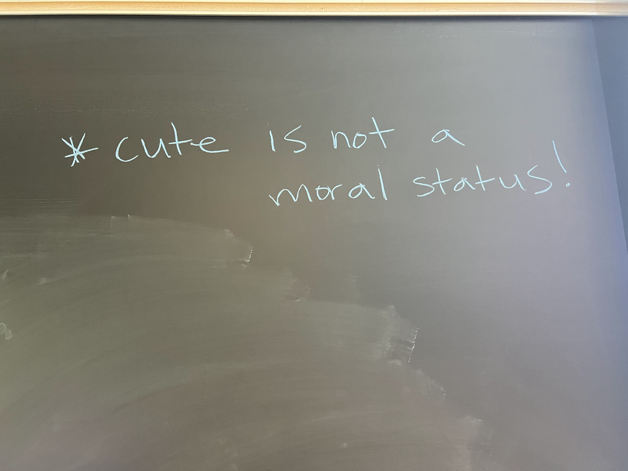 A chalkboard note reads: ‘Cute is not a moral status!’